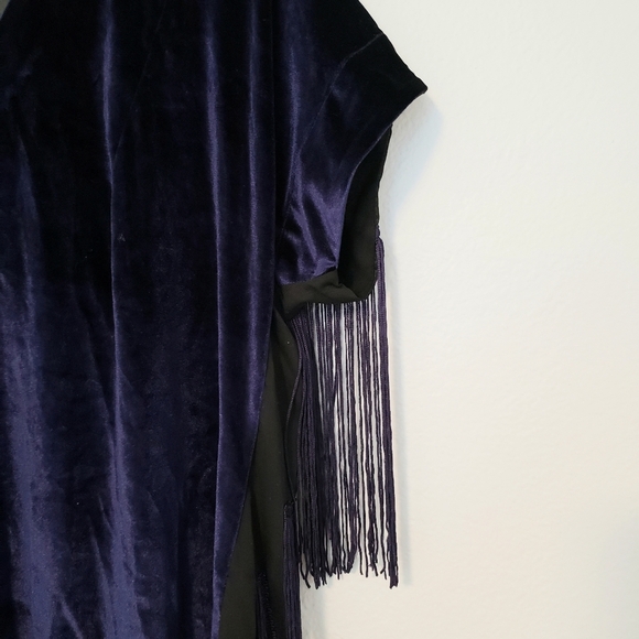 Pixie Market Love Dollybird Velvet tassel dress - Picture 10 of 12